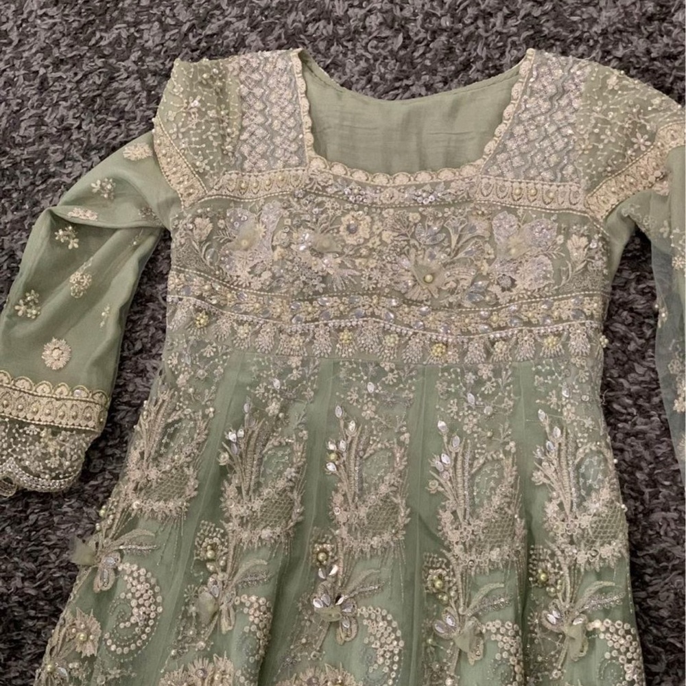 Desi Pistachio Green Gown - Picture 5 of 6
